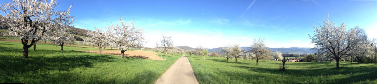 Obst- und Gartenbauverein Laufental